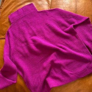 Chelsea and Theodore sweater